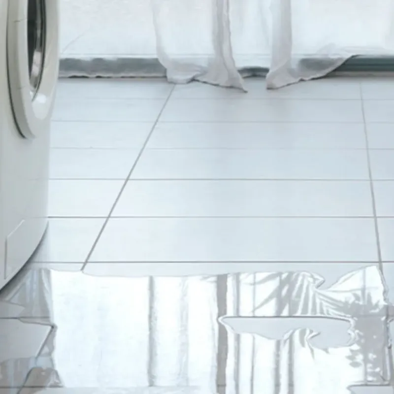 Appliance Leak Cleanup in Ely, MN