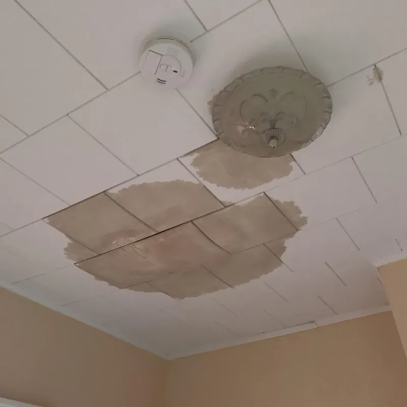 Ceiling Water Damage Repair in Ely, MN